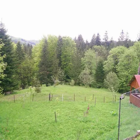 Apartment Lisowa Hatka Krivorovnya