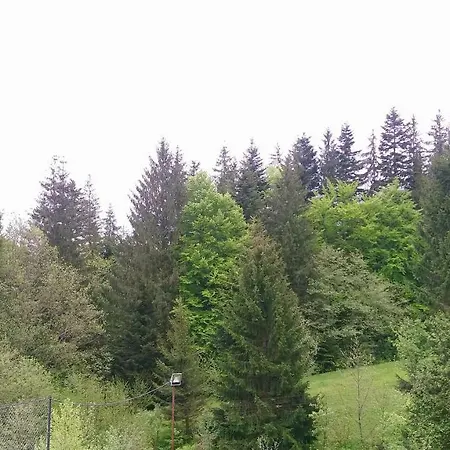 Lisowa Hatka Apartment *