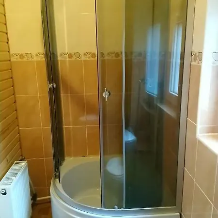 Apartment Lisowa Hatka Krivorovnya