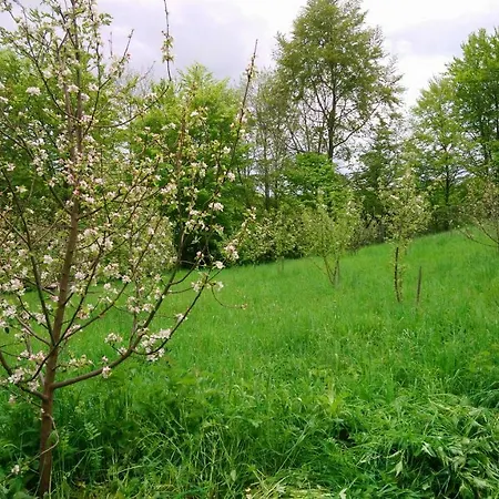 Apartment Lisowa Hatka *